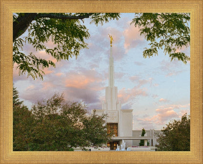 Denver Temple 01