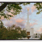 Denver Temple 01