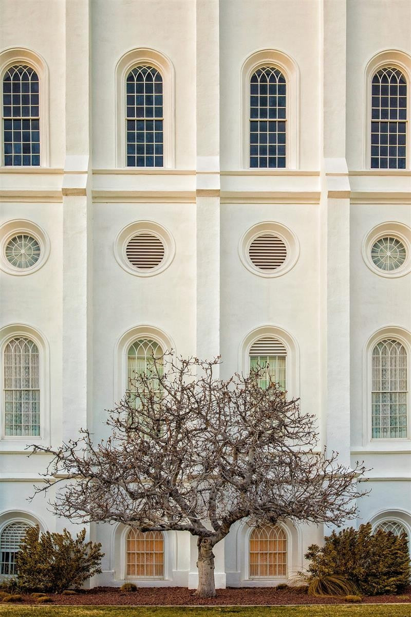 St George Temple 02 Gallery Wrap