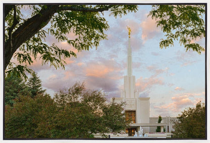 Denver Temple 01