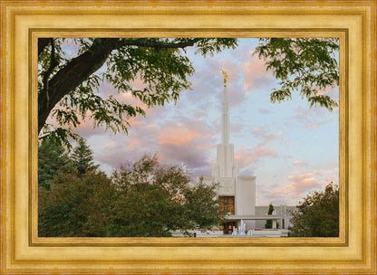 Denver Temple 01