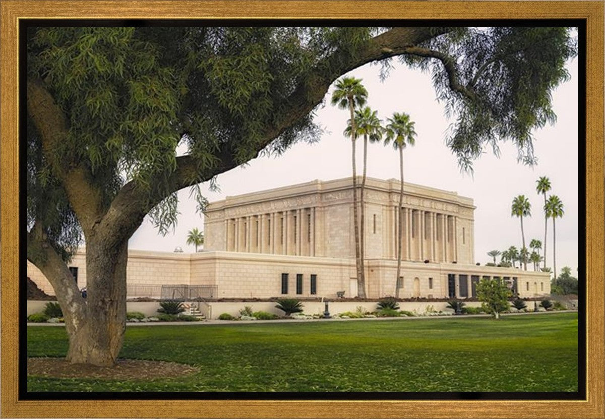 Mesa Temple 09 Gallery Wrap