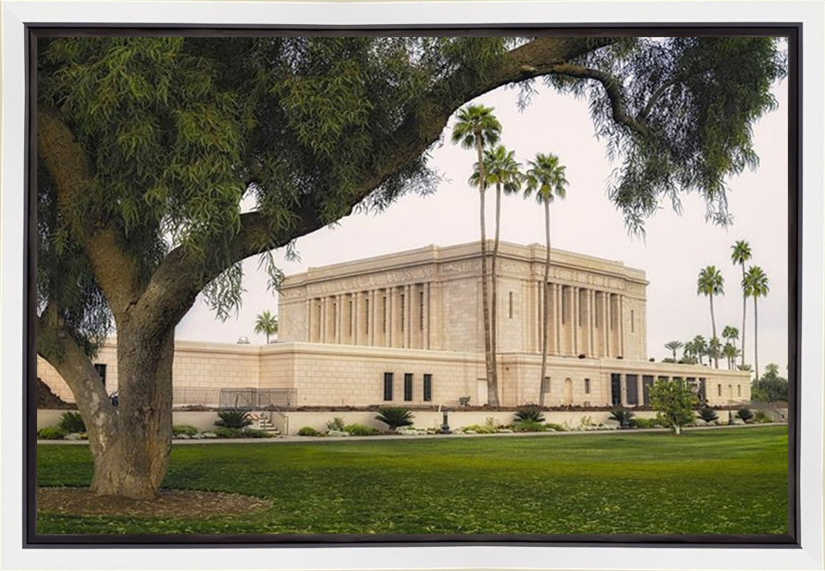 Mesa Temple 09 Gallery Wrap