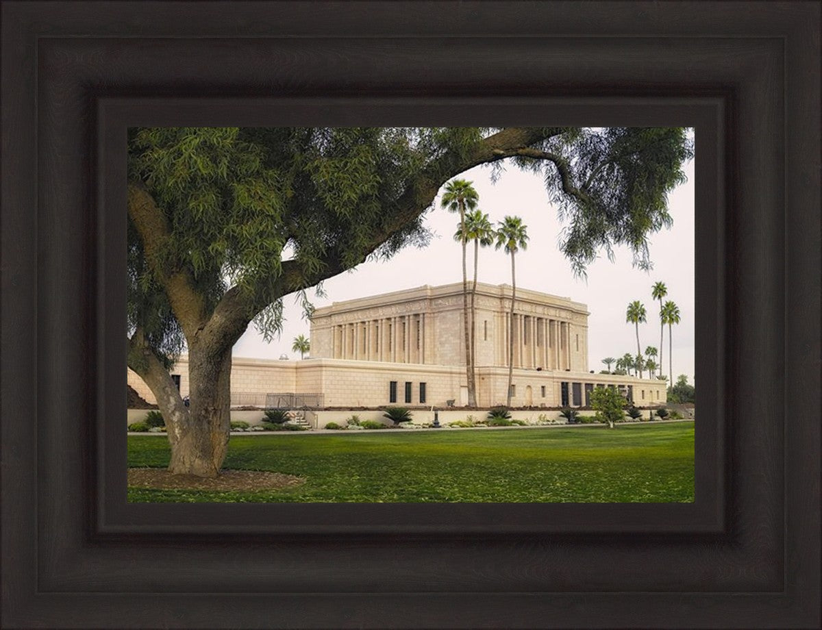Mesa Temple 09