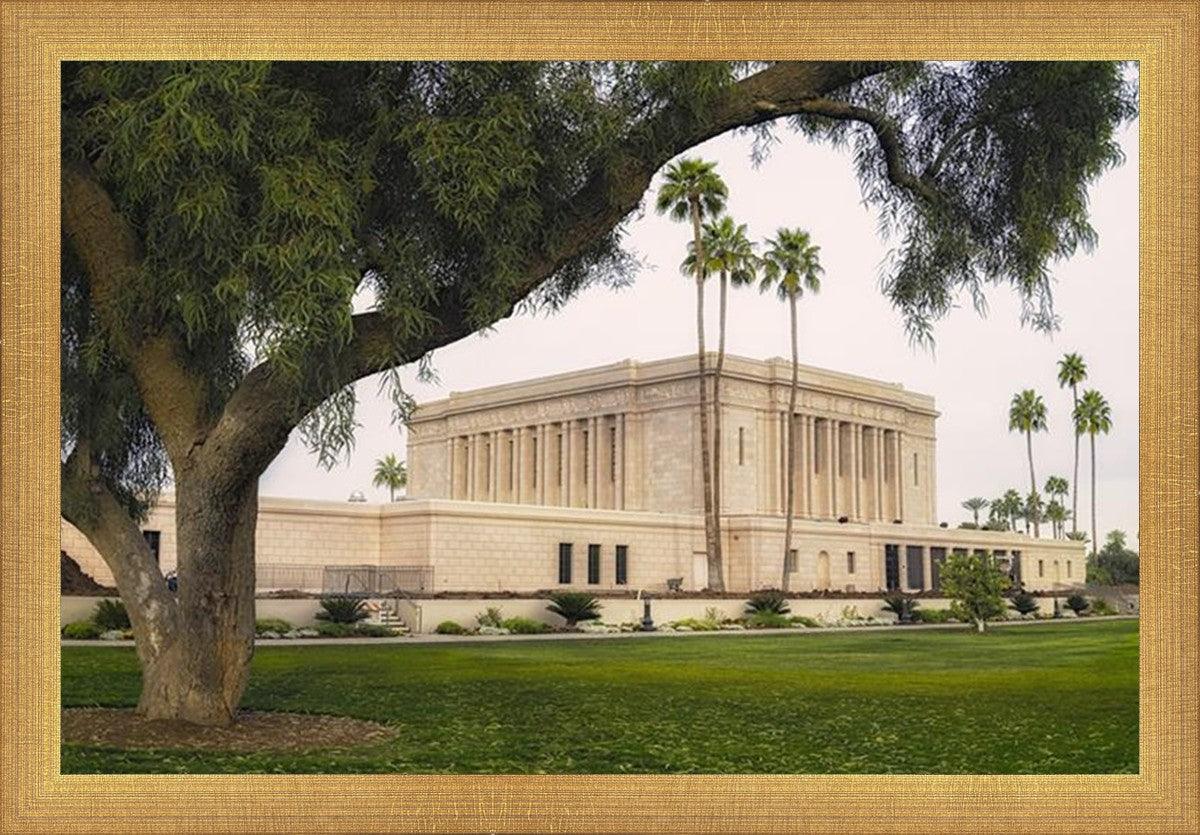 Mesa Temple 09