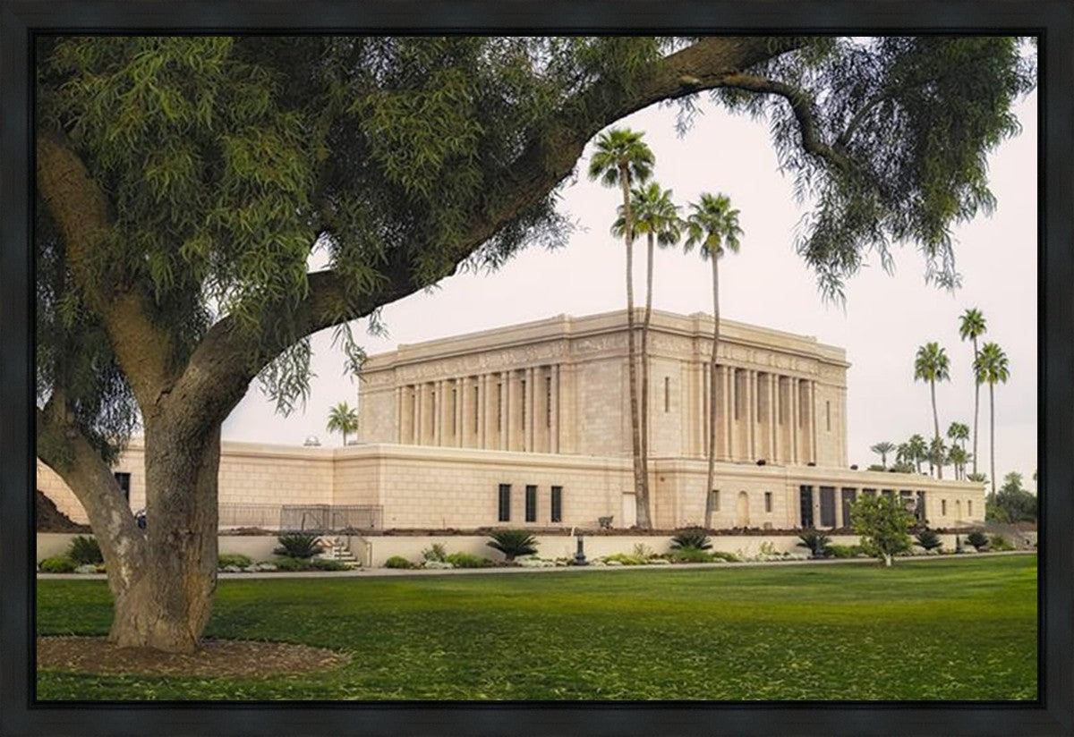 Mesa Temple 09