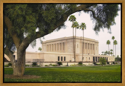 Mesa Temple 09