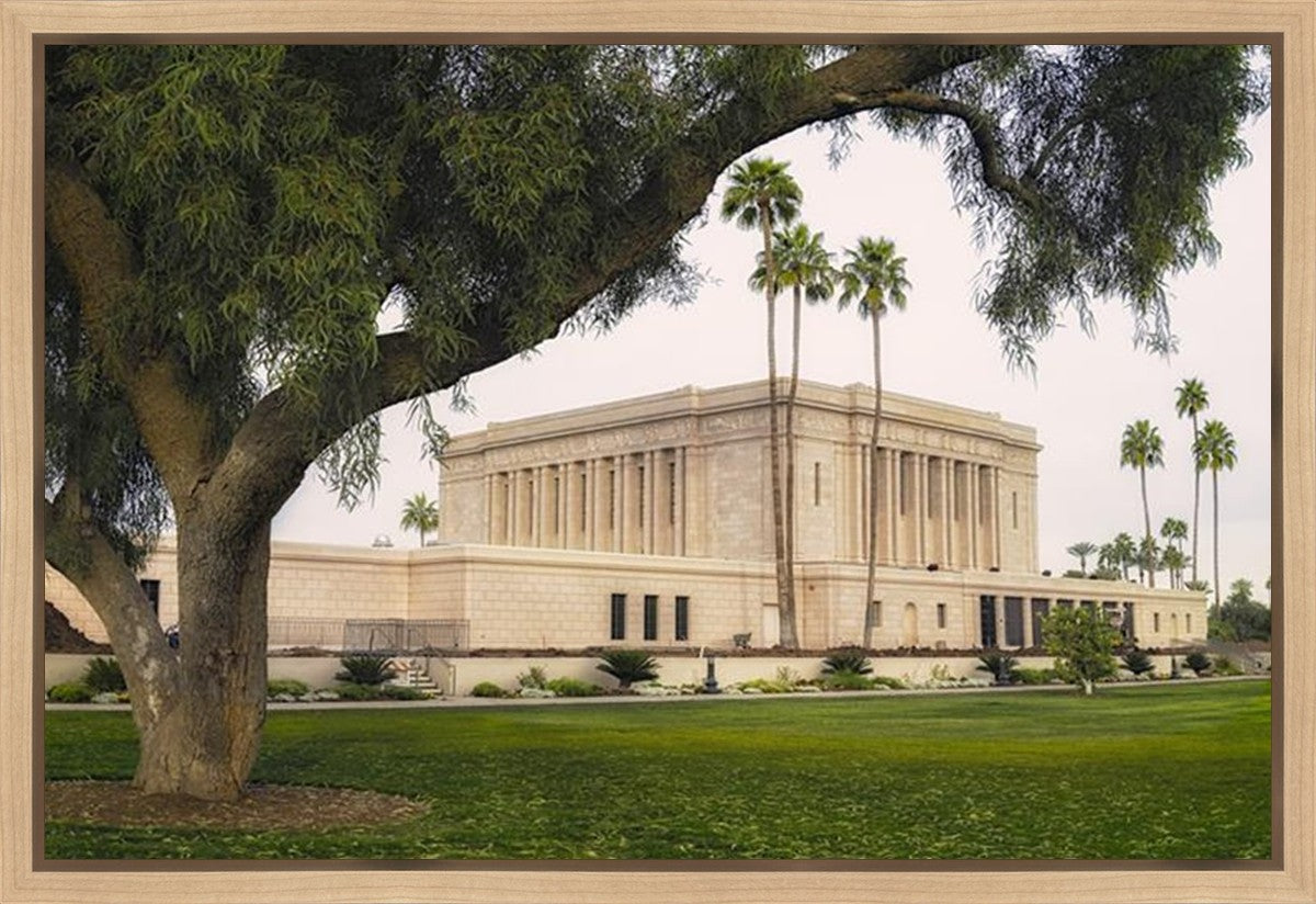 Mesa Temple 09 Gallery Wrap