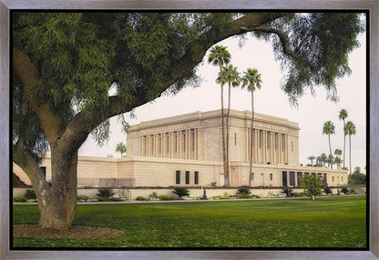 Mesa Temple 09