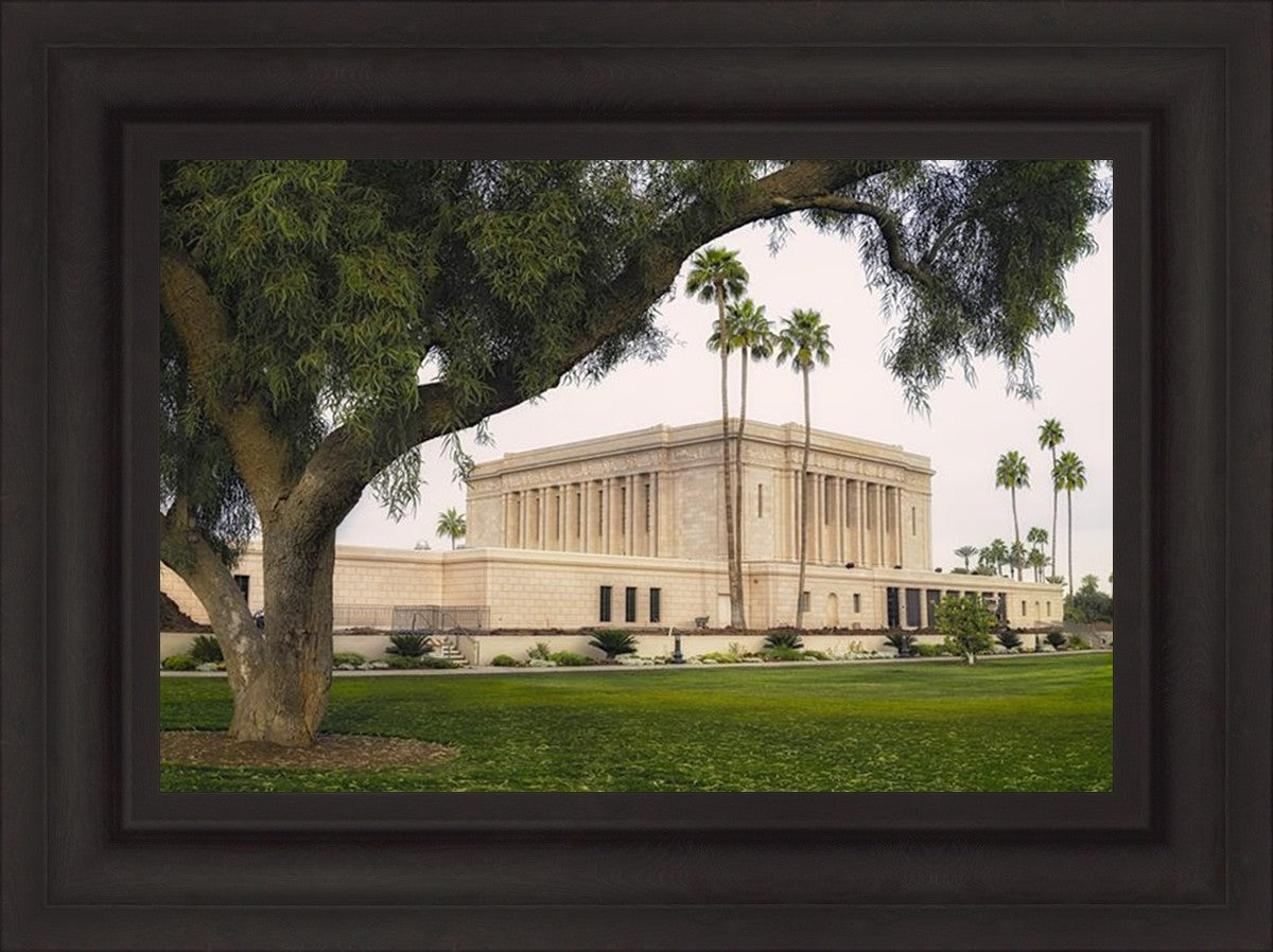 Mesa Temple 09