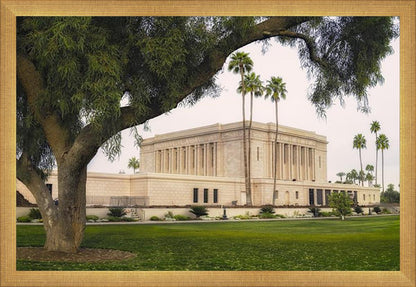 Mesa Temple 09