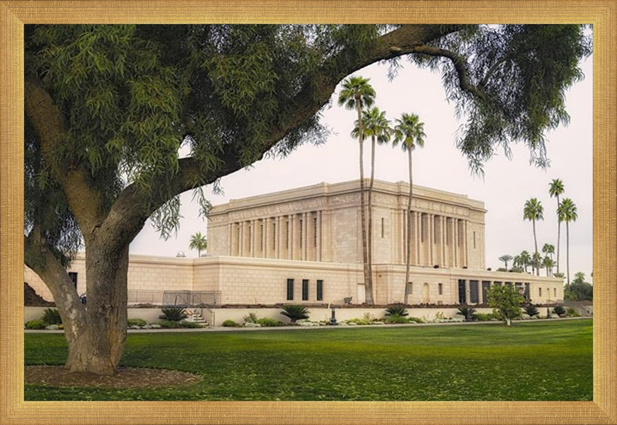 Mesa Temple 09