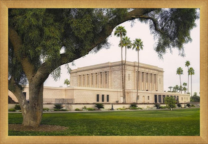 Mesa Temple 09