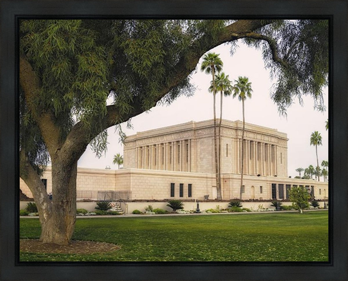 Mesa Temple 09