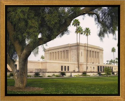 Mesa Temple 09