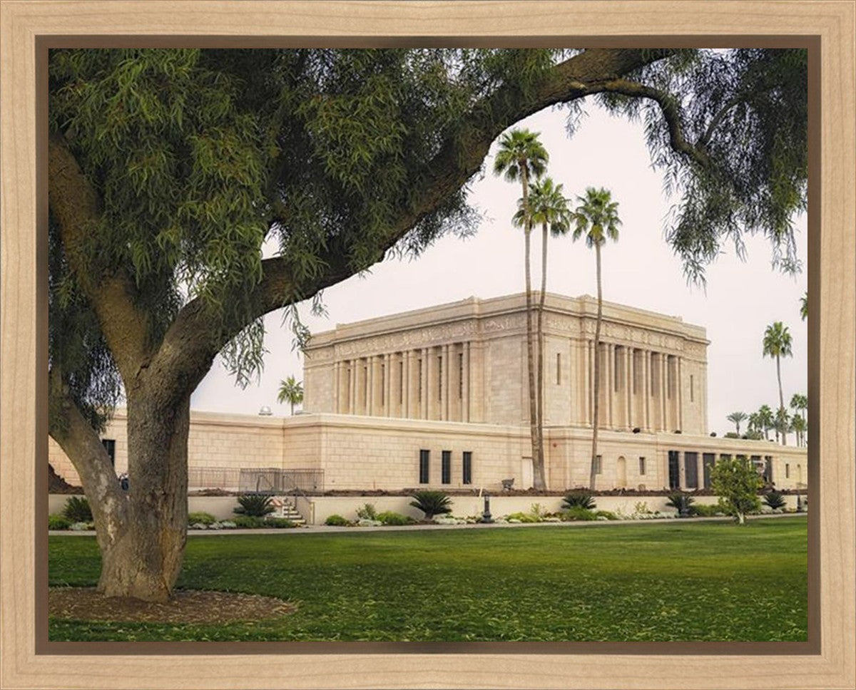 Mesa Temple 09