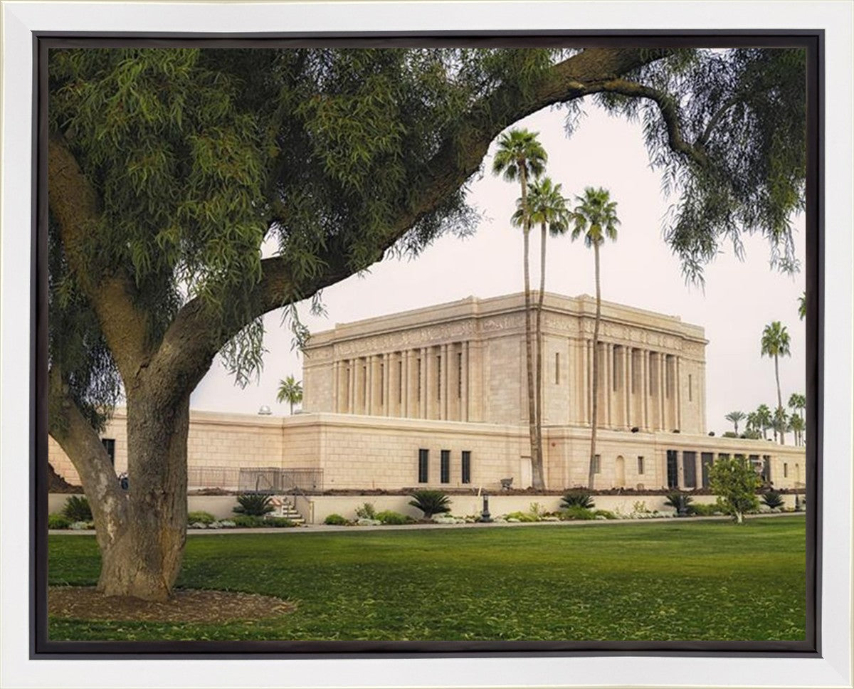 Mesa Temple 09 Gallery Wrap