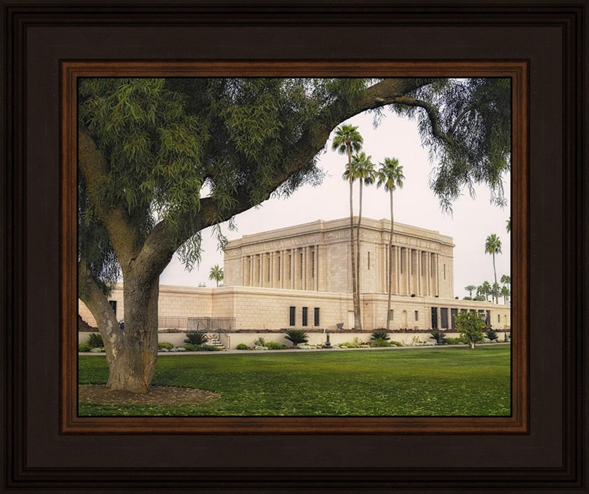 Mesa Temple 09
