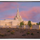 Phoenix Temple Eventide