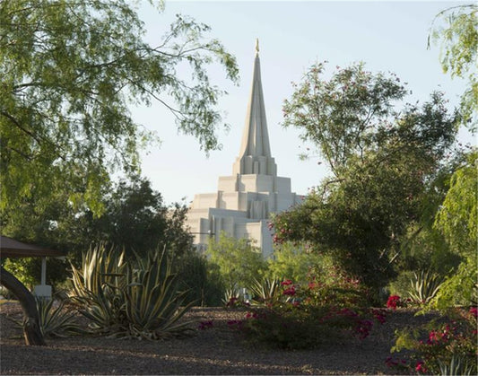 Gilbert Temple 14 Gallery Wrap