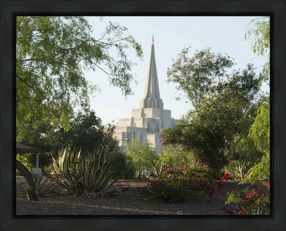 Gilbert Temple 14