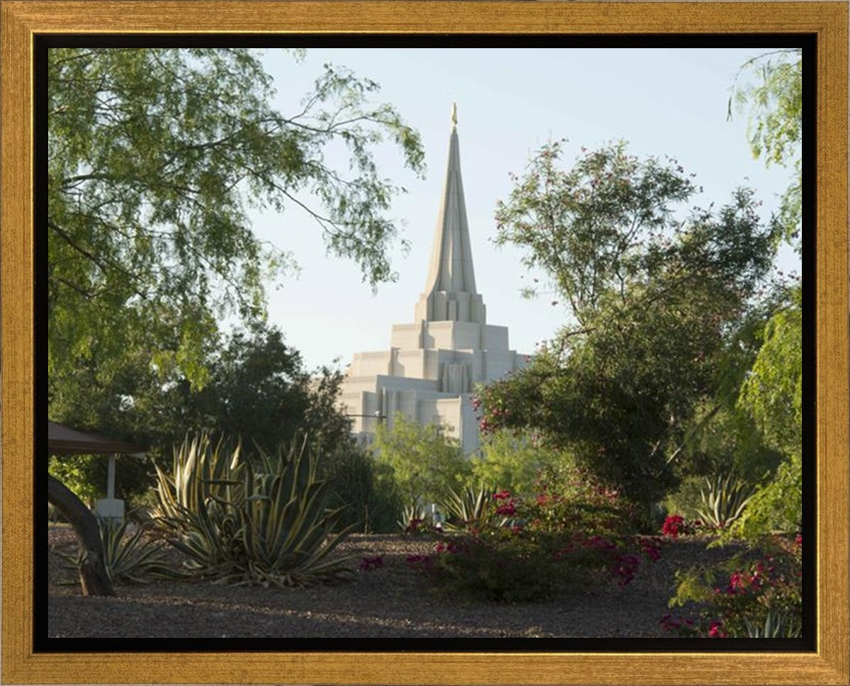 Gilbert Temple 14