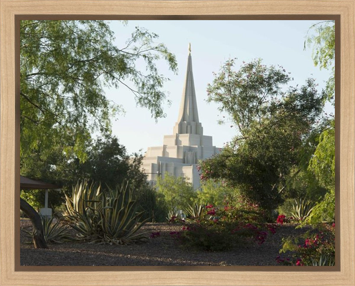 Gilbert Temple 14