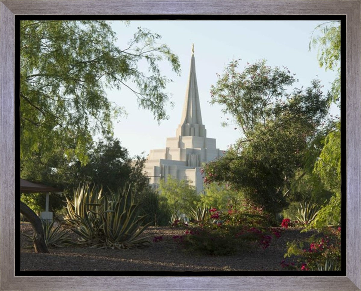 Gilbert Temple 14