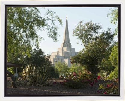 Gilbert Temple 14