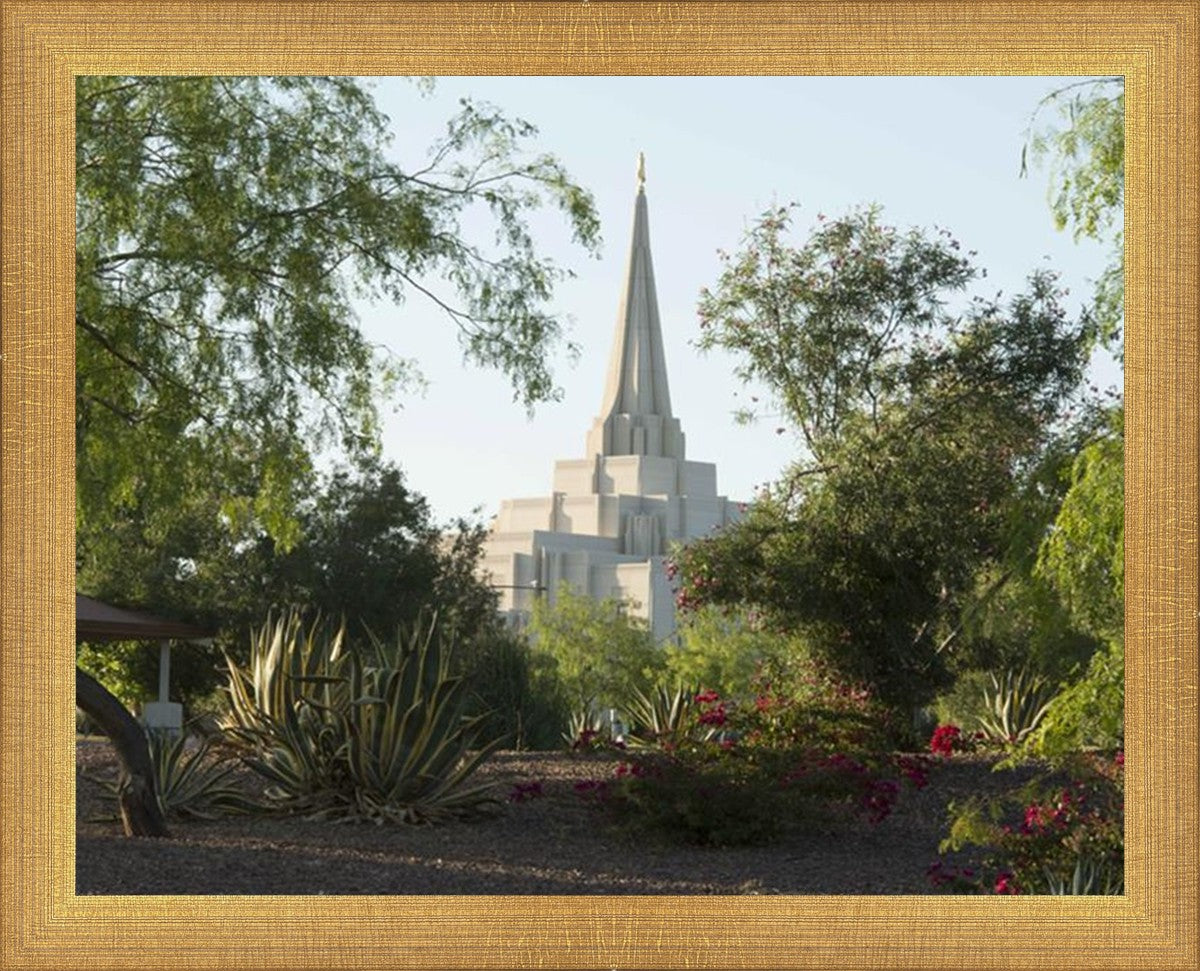 Gilbert Temple 14