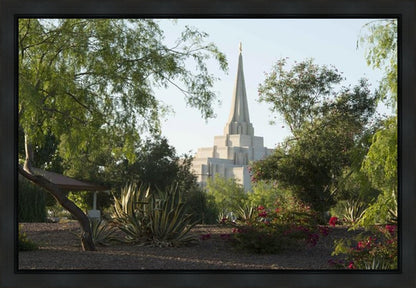 Gilbert Temple 14