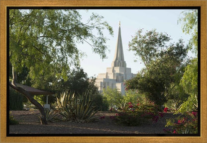 Gilbert Temple 14