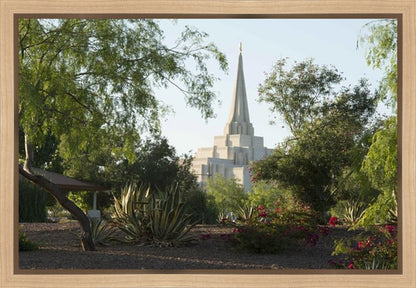 Gilbert Temple 14