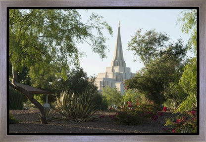 Gilbert Temple 14