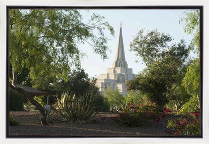 Gilbert Temple 14