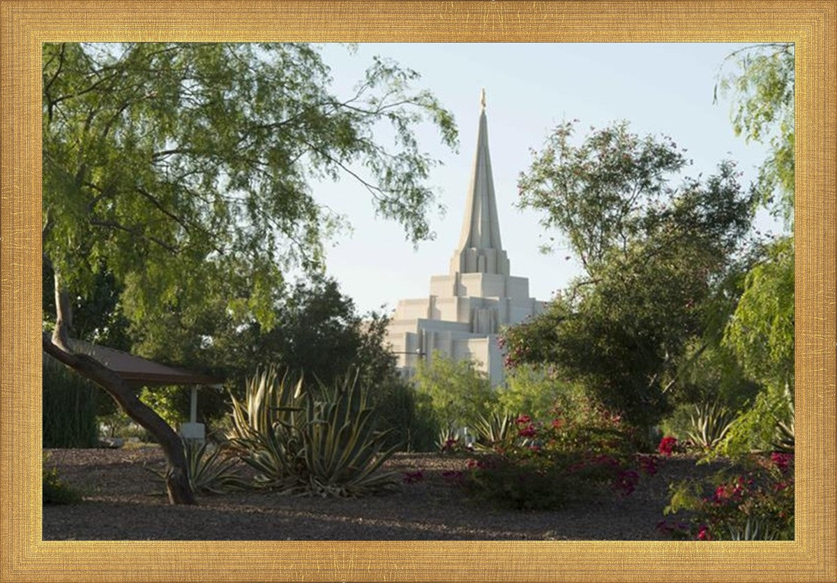 Gilbert Temple 14