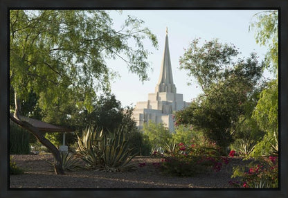 Gilbert Temple 14