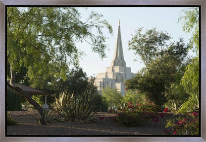 Gilbert Temple 14