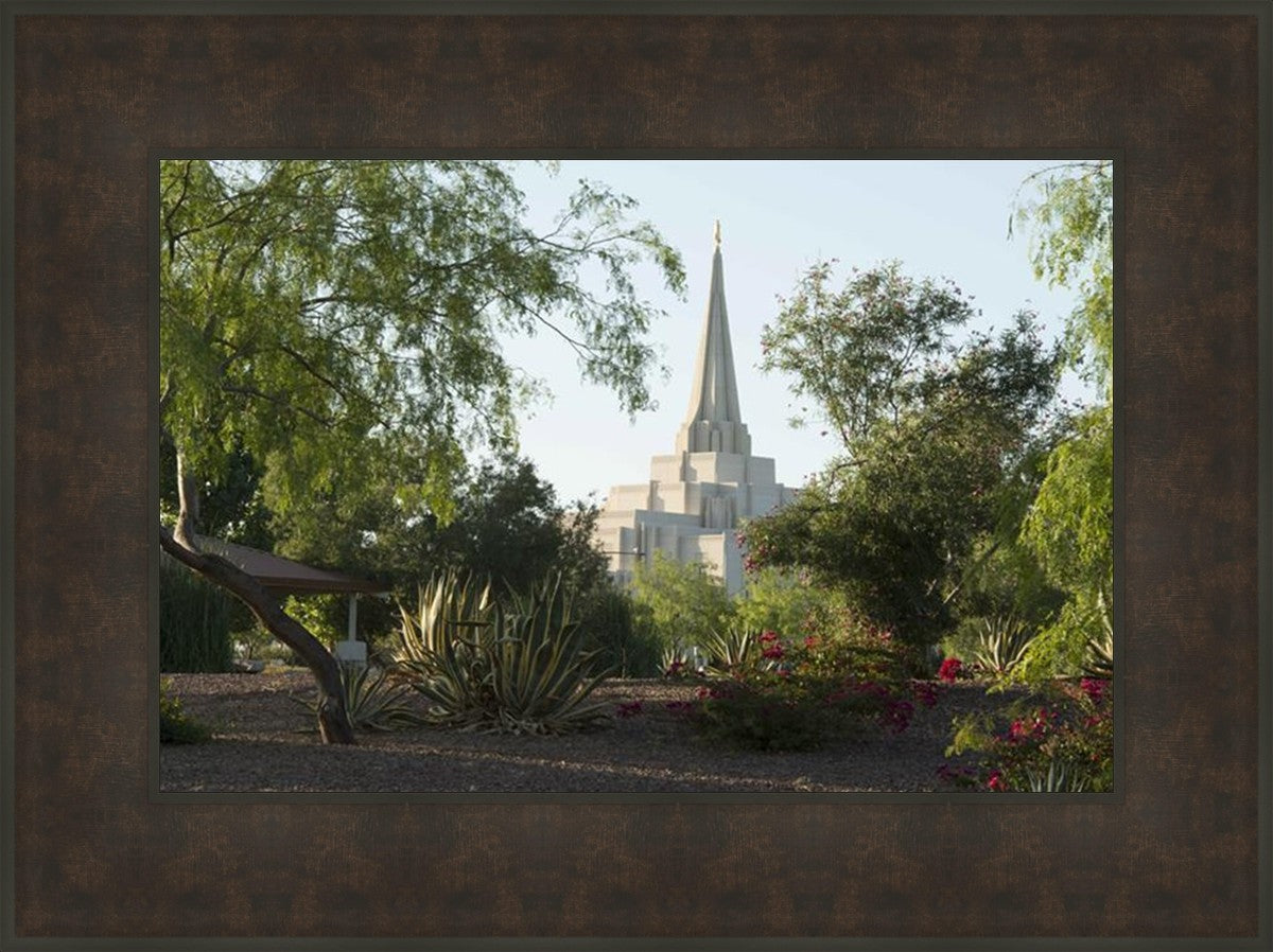 Gilbert Temple 14