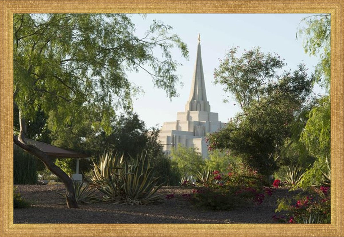Gilbert Temple 14