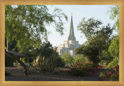 Gilbert Temple 14