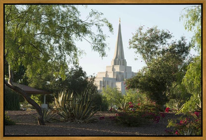 Gilbert Temple 14