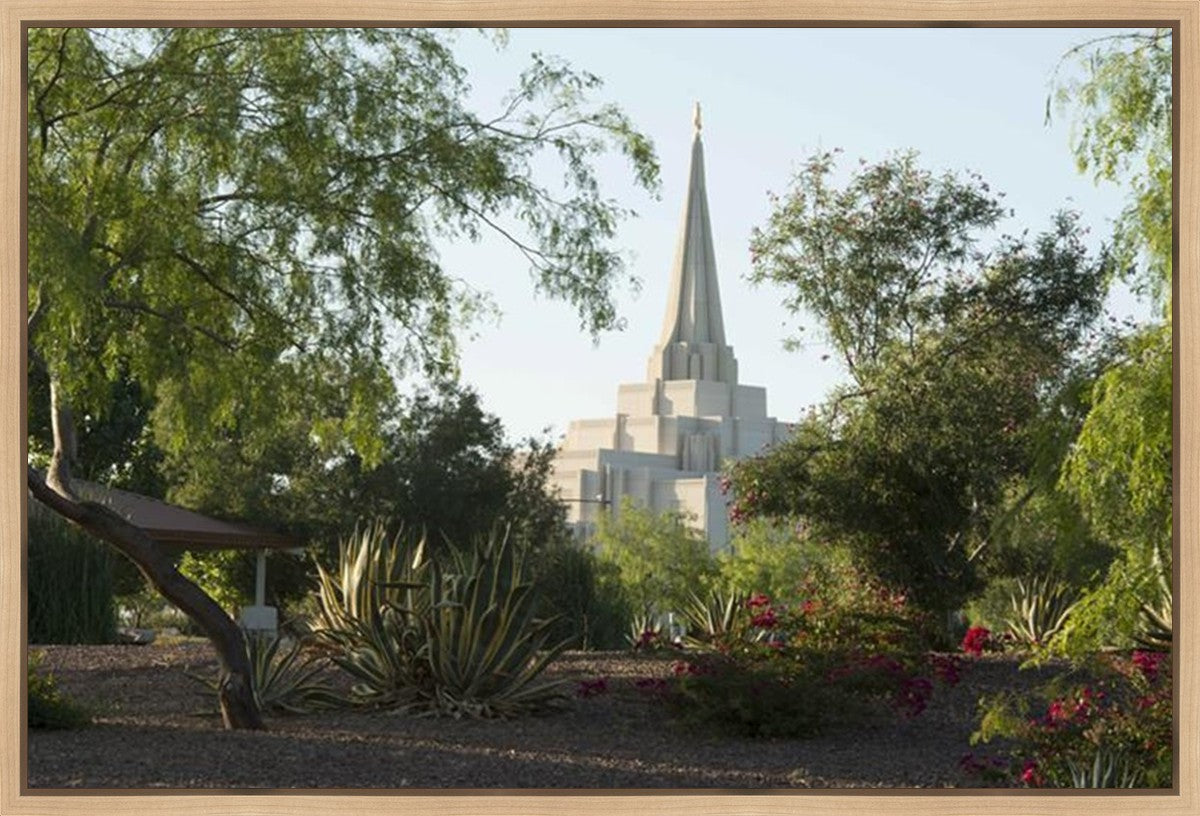 Gilbert Temple 14