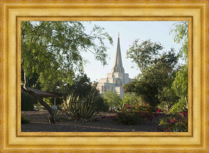 Gilbert Temple 14