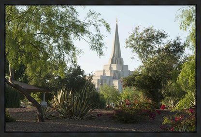 Gilbert Temple 14