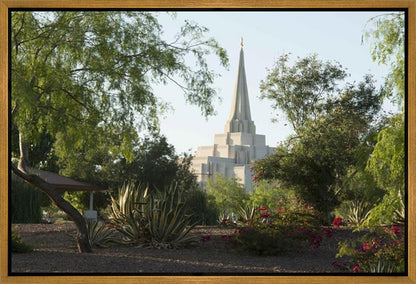 Gilbert Temple 14