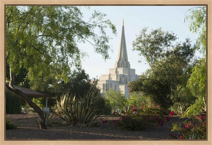 Gilbert Temple 14