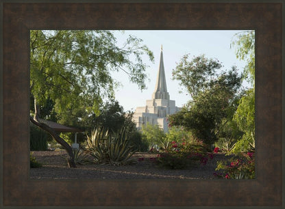 Gilbert Temple 14