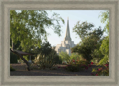 Gilbert Temple 14