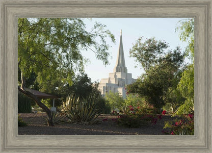 Gilbert Temple 14